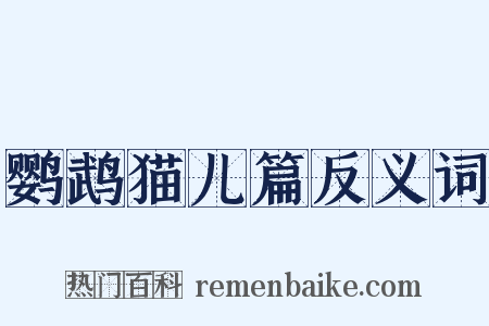 鹦鹉猫儿篇反义词是什么意思的图片